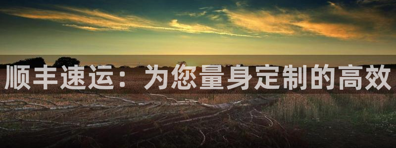 豪门国际可以退款吗：顺丰速运：为您量