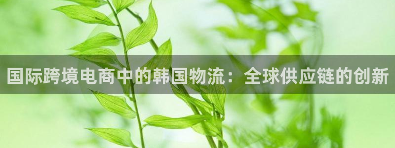 豪门国际ccm官网版：国际跨境电商中