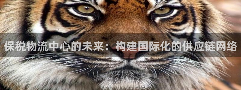 豪门国际赌博被抓：保税物流中心的未来