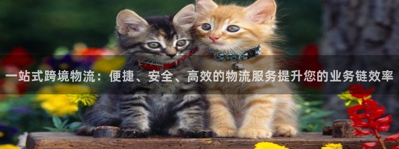 豪门国际充值不到账怎么办：一站式跨境
