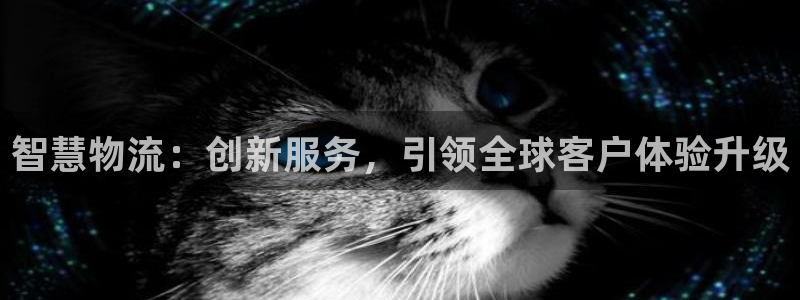 豪门国际麻将胡了爆分视频：智慧物流：