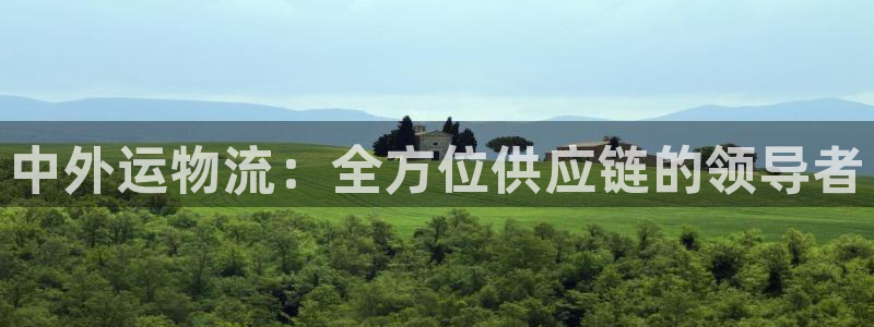 豪门国际娱乐官网网页入口：中外运物流