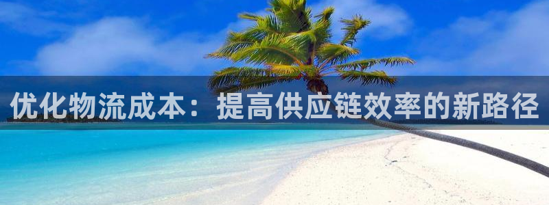 豪门国际下载不了：优化物流成本：提高