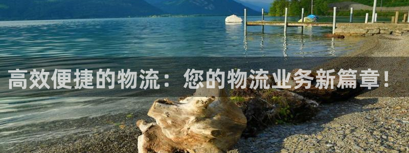 豪门国际加拿大6.0：高效便捷的物流