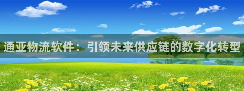 豪门国际充值不到账：通亚物流软件：引