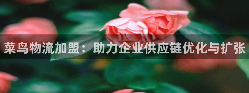 豪门国际登陆网：菜鸟物流加盟：助力企