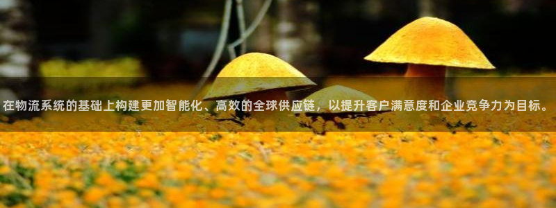 豪门国际官方网站是多少：在物流系统的