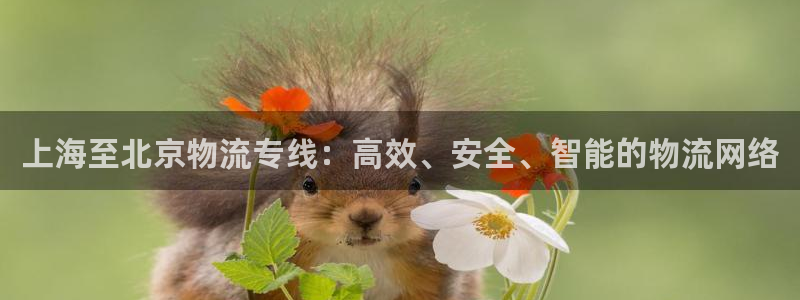 豪门国际p扣除是什么意思：上海至北京
