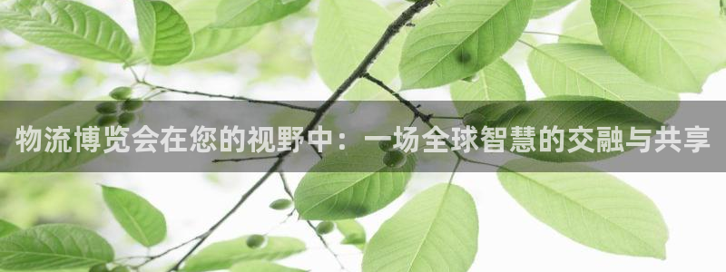 豪门国际人头费：物流博览会在您的视野