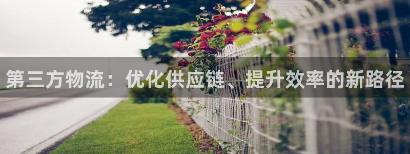 豪门国际官网版2024：第三方物流：