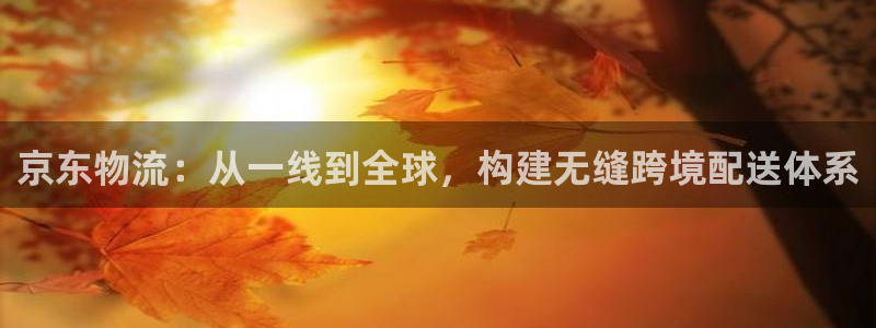 豪门国际图片：京东物流：从一线到全球