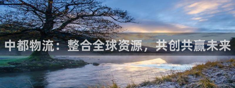 豪门国际推广链接是多少粉丝：中都物流