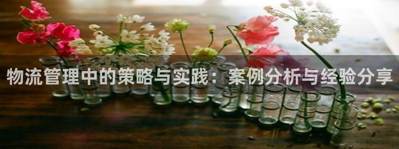 加拿大豪门国际数字规则：物流管理中的