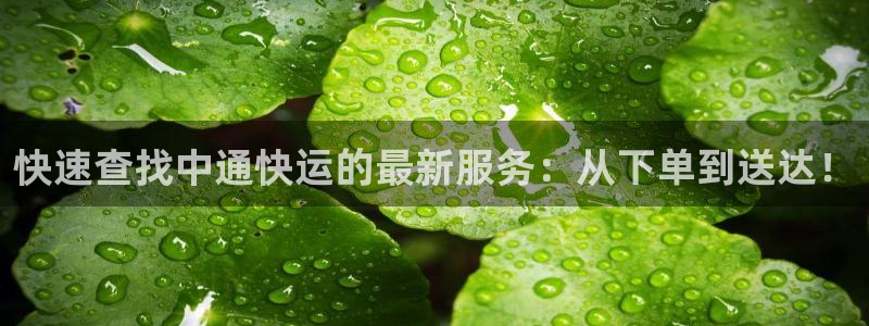 豪门国际官网开奖结果预测查询