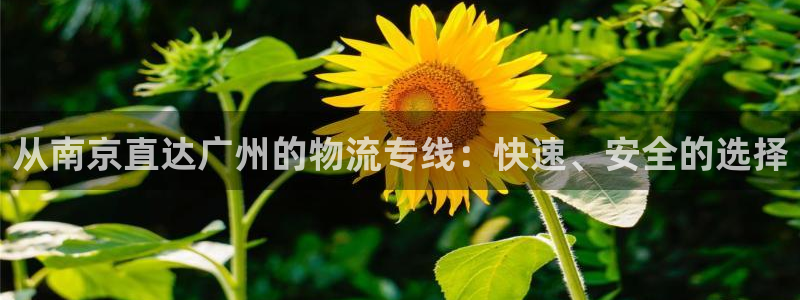 豪门国际软件总是闪退怎么回事
