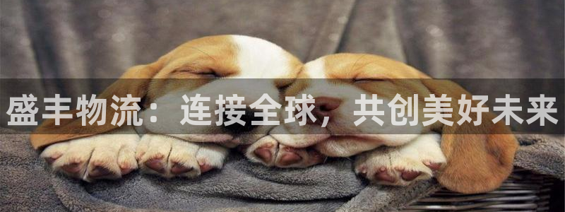 豪门国际p扣除:盛丰物流:连接全球,